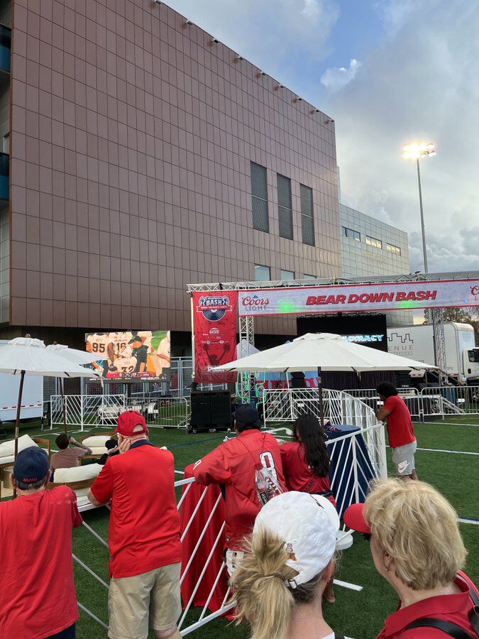 Bear Down Bash